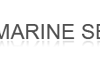 RMS Marine Service Company Ltd
